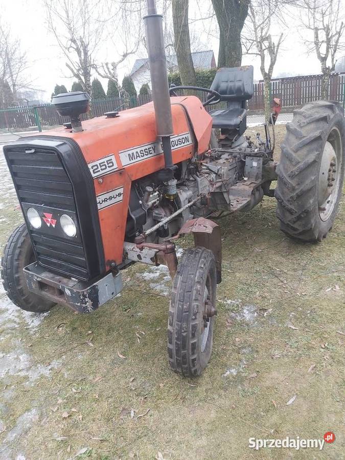 Massey ferguson 255 małopolskie Jawiszowice