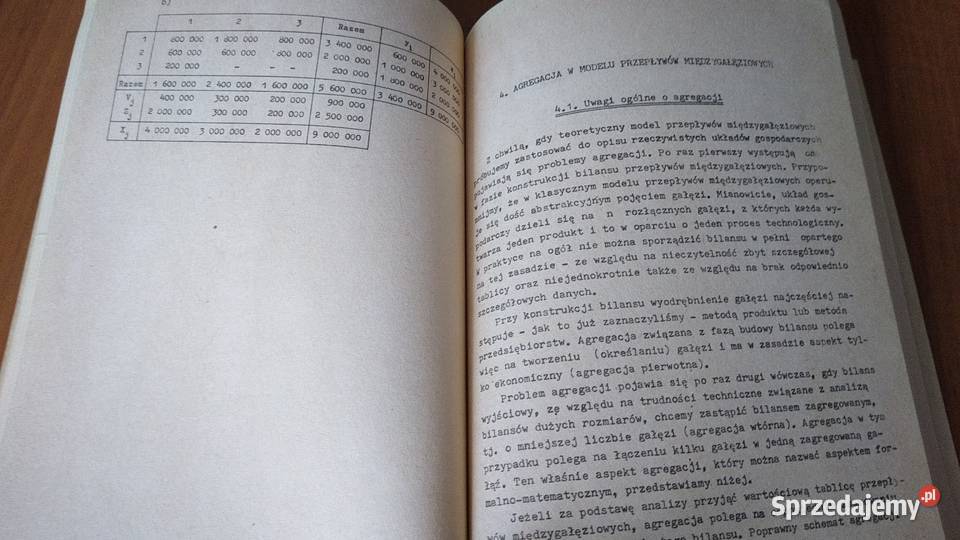 Przepływy międzygałęziowe elementy teorii Łucja