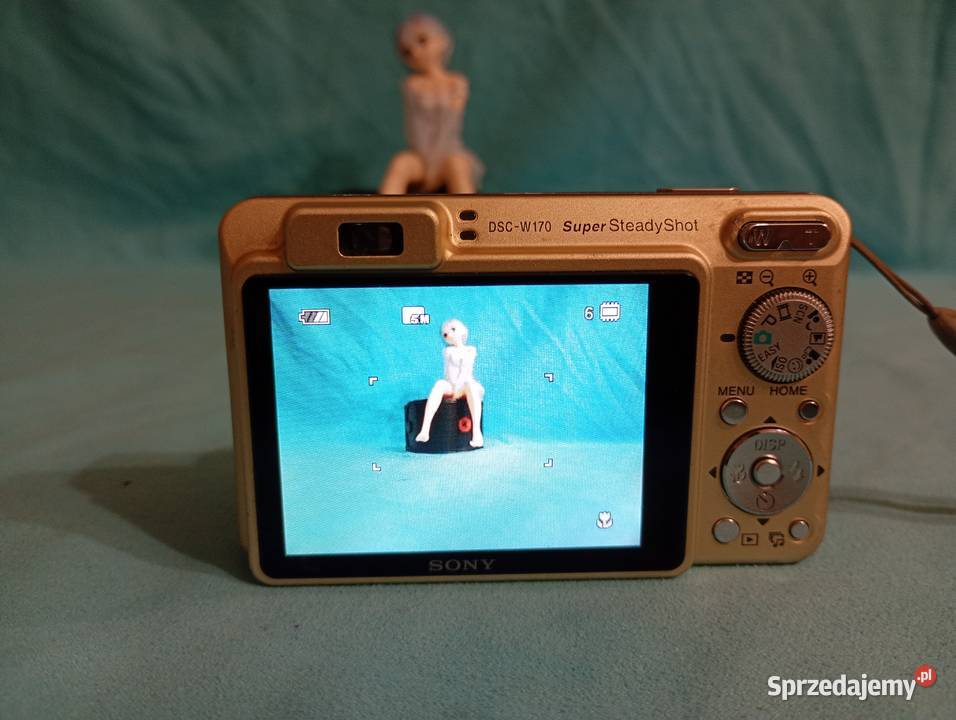 Szampański Sony CyberShot DSC W170 Katowice sprzedam