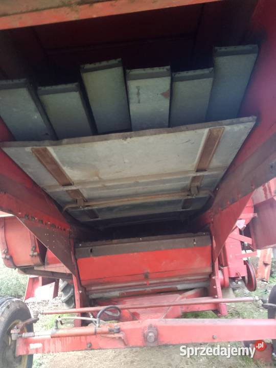 Massey Ferguson Zbożowe lubelskie Krasnystaw