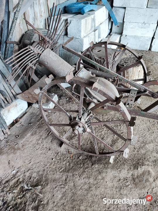 kopaczka konna lubelskie Zabłocie