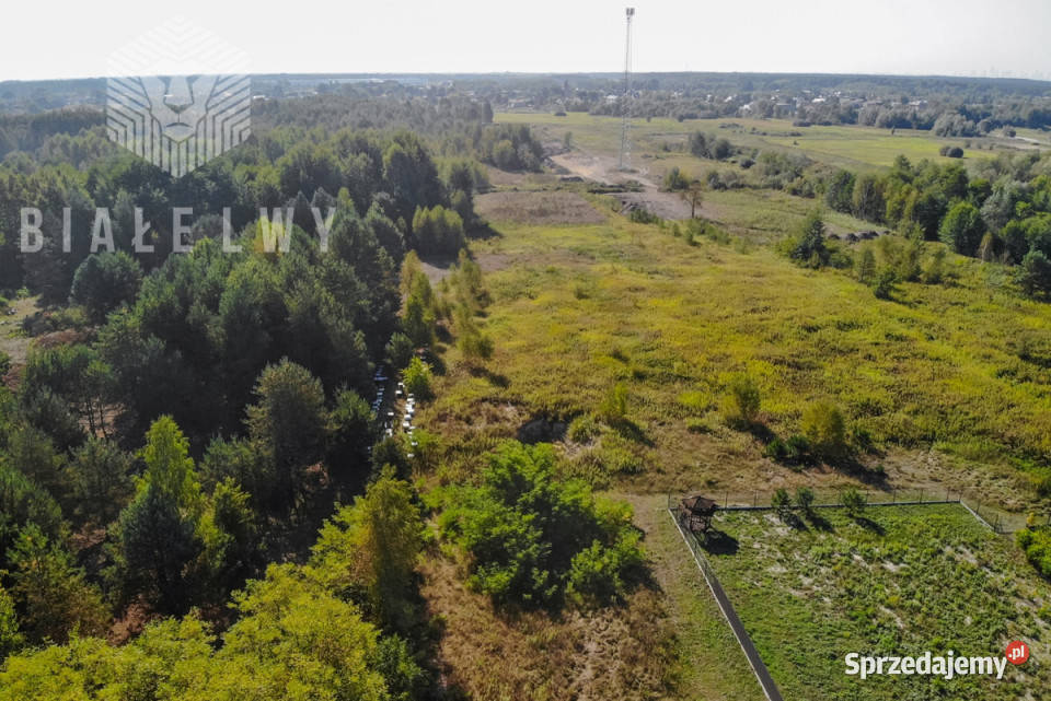 sprzedaży gruntu Nadma Rzeczna 8264m2 mazowieckie