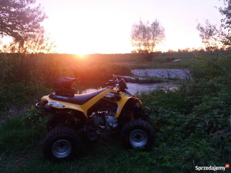 Can Am DS 250 Nysa