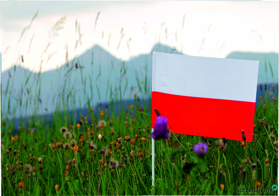 chorągiewki polskie Poznań