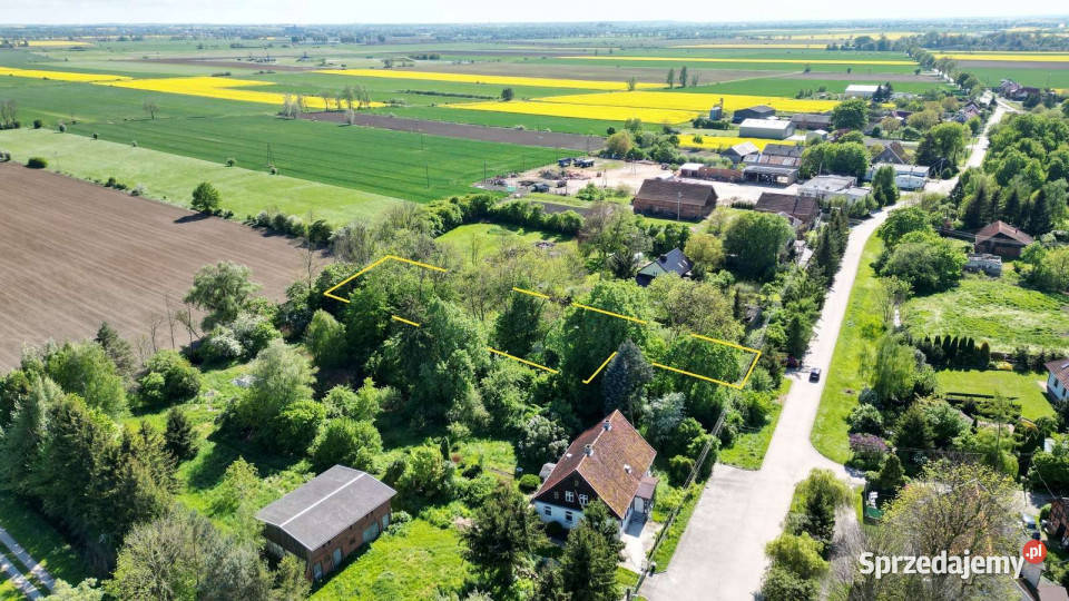 Dom z dużą działką koło Malborka Lasowice Wielkie