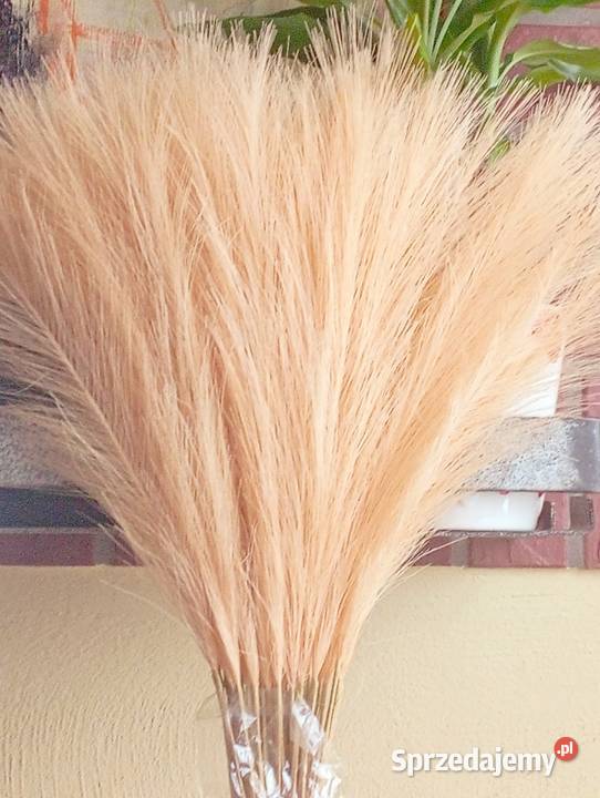 Morelowa sztuczna trawa pampasowa 40 sztuk Szczecinek