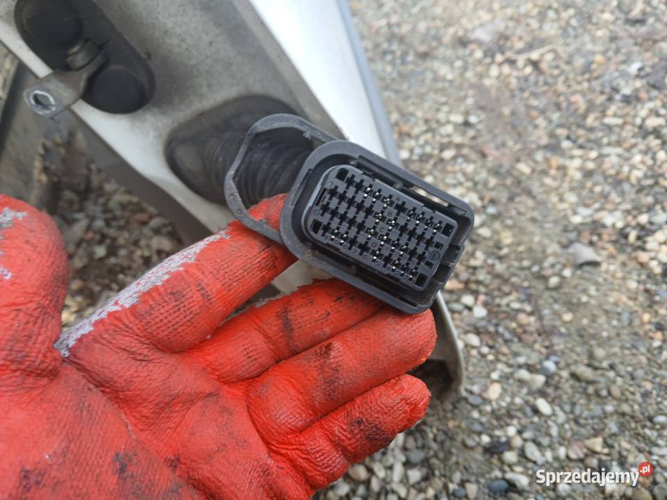 Drzwi prawe przednie Kompletne Renault Kangoo II małopolskie Radłów