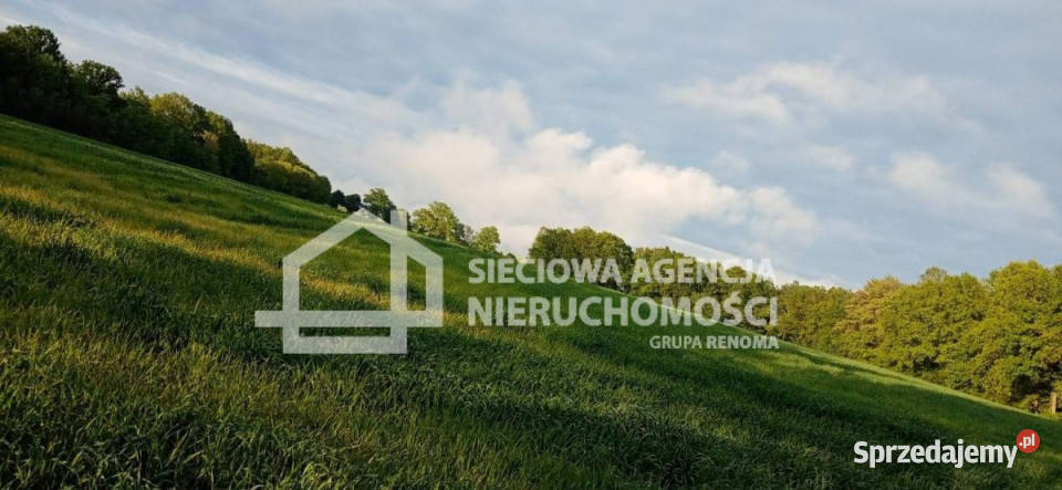 Grunt sprzedam 12523m2 Wilkowo Nowowiejskie