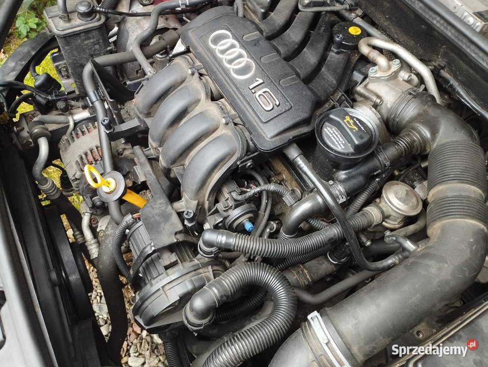 Sprzedam silnik Audi A3 16 MPI Super stan Mrągowo