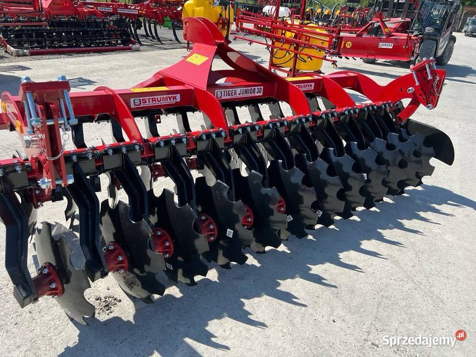 BRONA TALERZOWA STRUMYK TIGER JUNIOR 140300 Brony świętokrzyskie Kazimierza Wielka