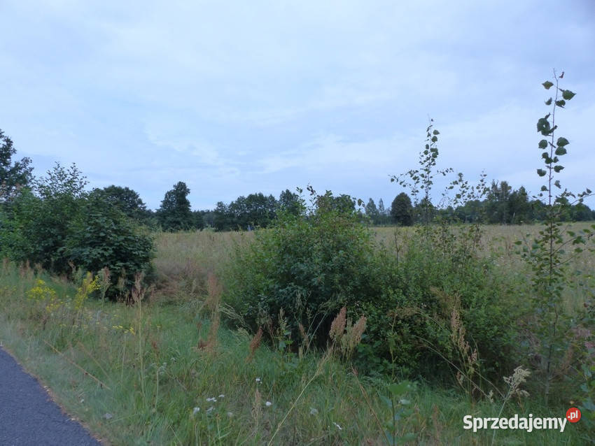 Działki rolnobudowlane k Płocka Lipna 88500m2 kujawsko-pomorskie Małomin