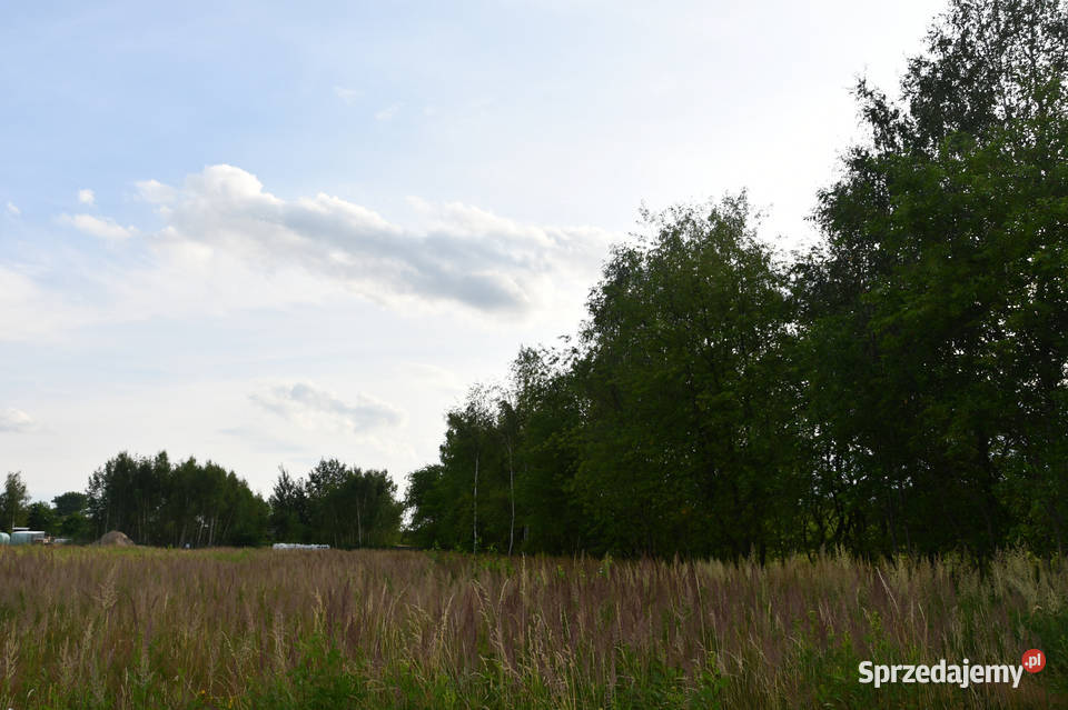Działki 11a pod zabudowę Rudna Mała sprzedam
