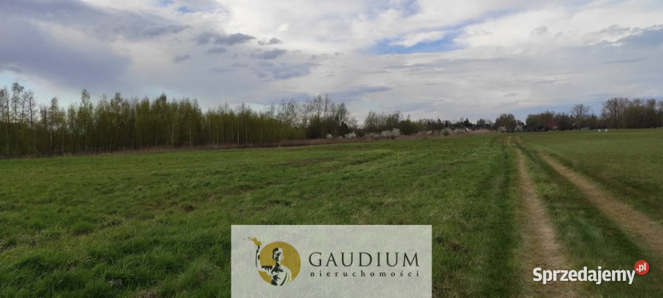 działki w Drewnicy polna Sprzedaż Drewnica