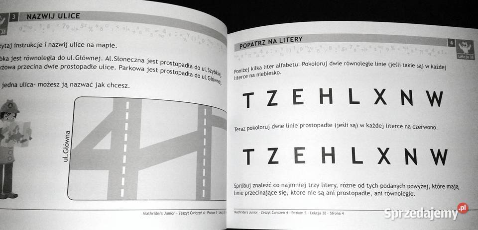 MathRider Poziom 5 Zeszyt zadań domowych 4 Anita Chełm