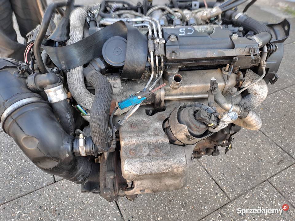 Citroen C5 II III C6 C8 Fiat Ulysse 22HDi silnik Jastrzębie-Zdrój