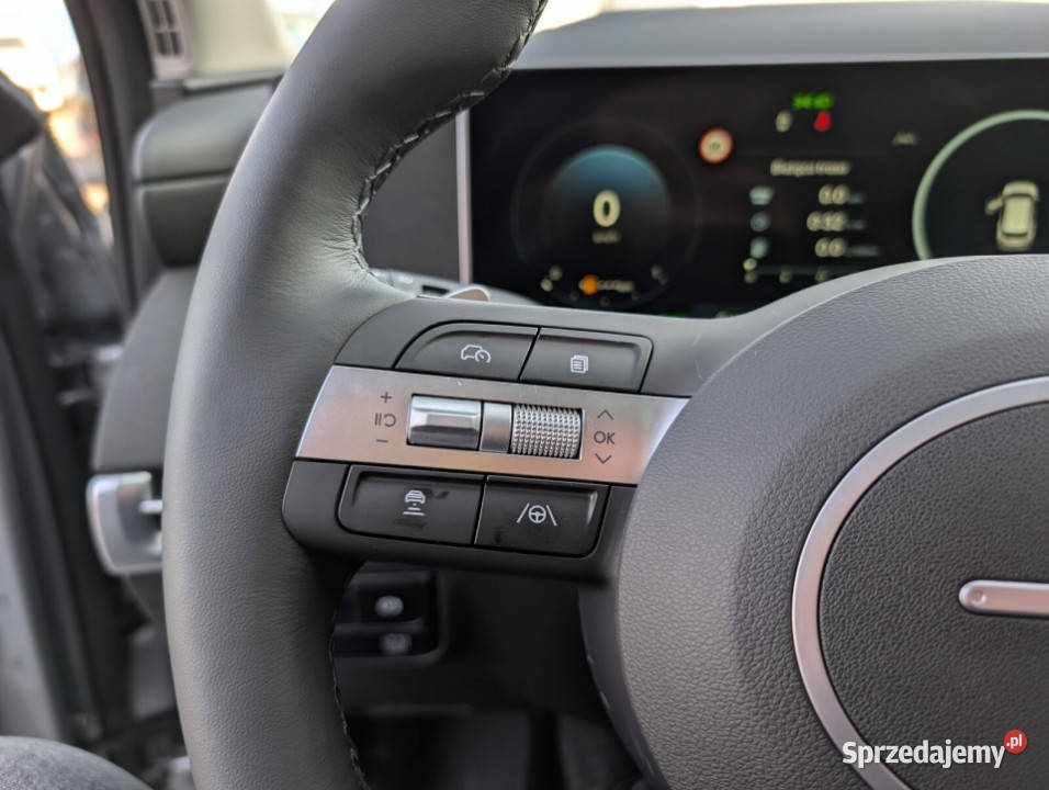 HEV Nowej Generacji PLATINUM SUN 16 TGDI 6AT 4WD 1598cm3 wielkopolskie Kalisz