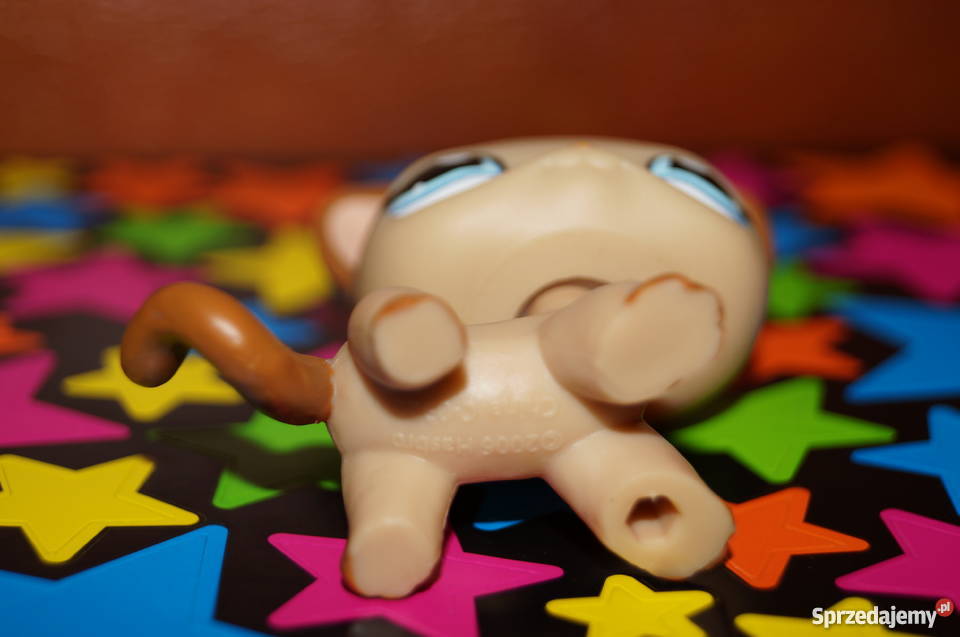LPS shorthair UNIKAT 1024 Littlest Pet Shop Czerwionka-Leszczyny