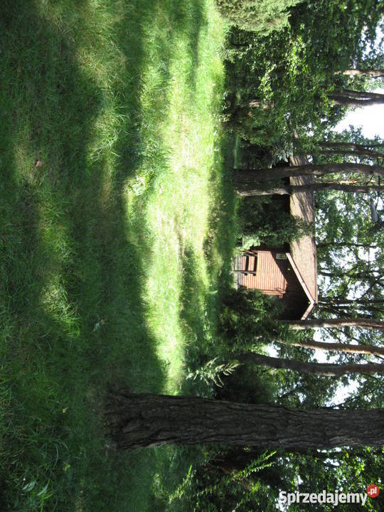 Piękna leśna działka z małym domkiem 53zł/m2 mazowieckie