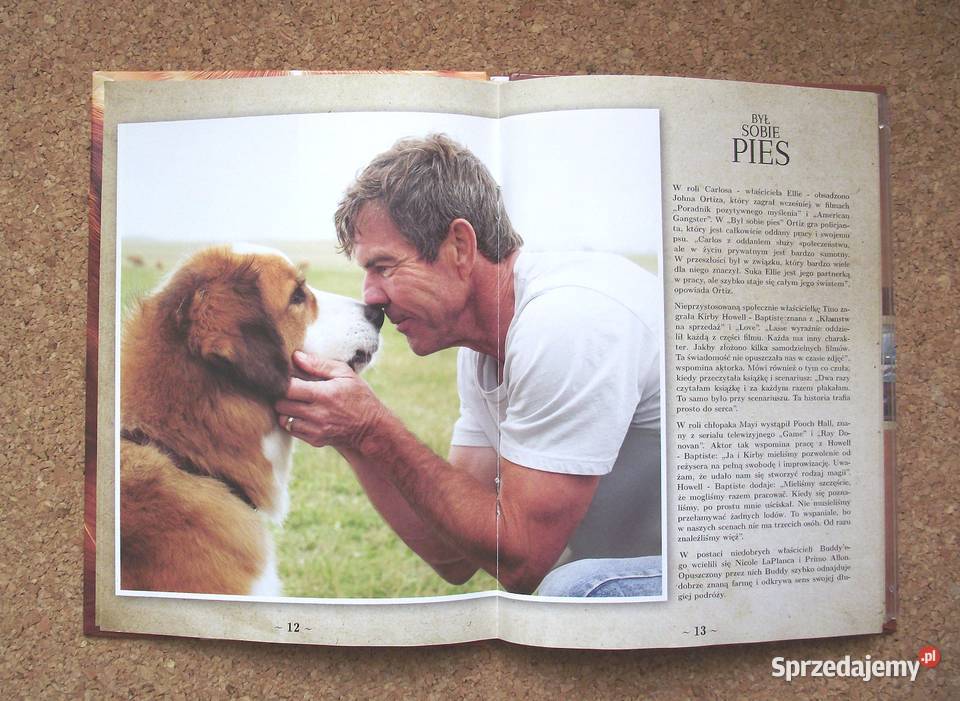 Był sobie pies familijny komedia DVD Warszawa
