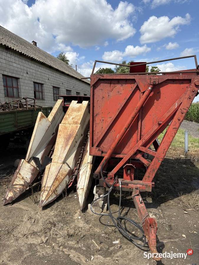 Kombajn zbieracz kolb kukurydzy słodkiej Radziejów