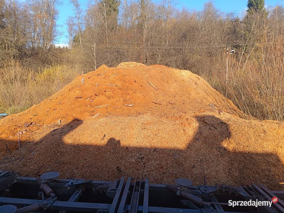 Sprzedam trociny wióry drzewne poprodukcyjne Procisne
