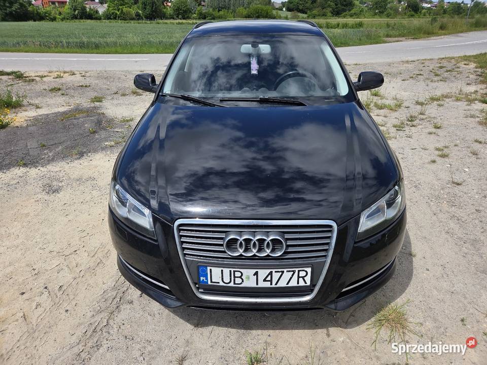 Audi A3 8P Sportback 16 TDI Zagrody