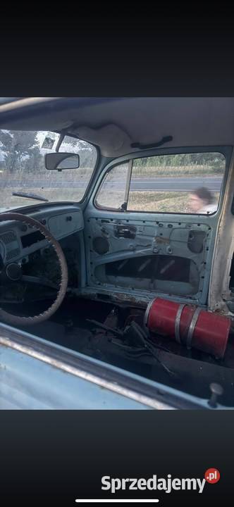 Be garbus lubuskie Słubice sprzedam