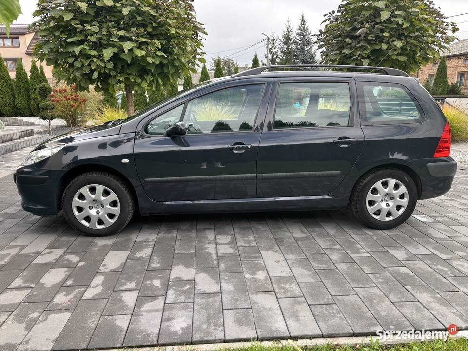 Peugeot 307 16 benzyna 2006 217384km Sieradz