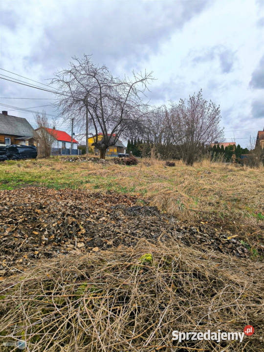 sprzedaży działki Mniów 5000 metrów