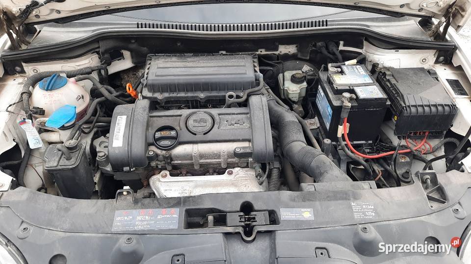 Seat Leon 14 16V MPi Benzyna Klima sprawna Alu 173000km lubelskie