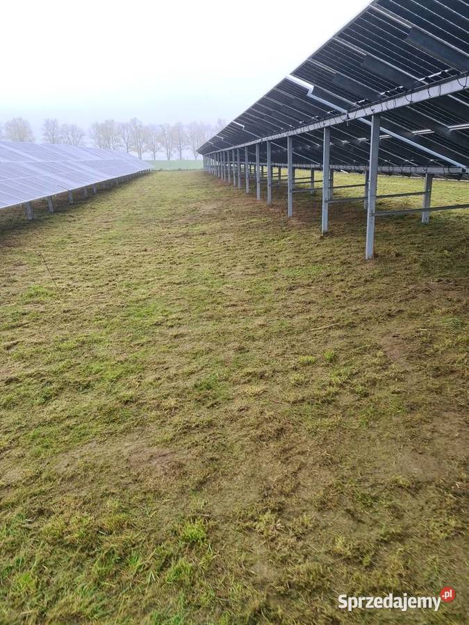 Koszenie farm fotowoltaicznych nieuzytkow