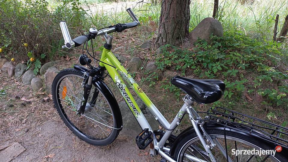 Alu Rower Miejski Młodzieżowy Pegasus Avanti Miejskie Wołów