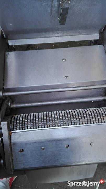 SKÓROWACZKA MAJA Bojano