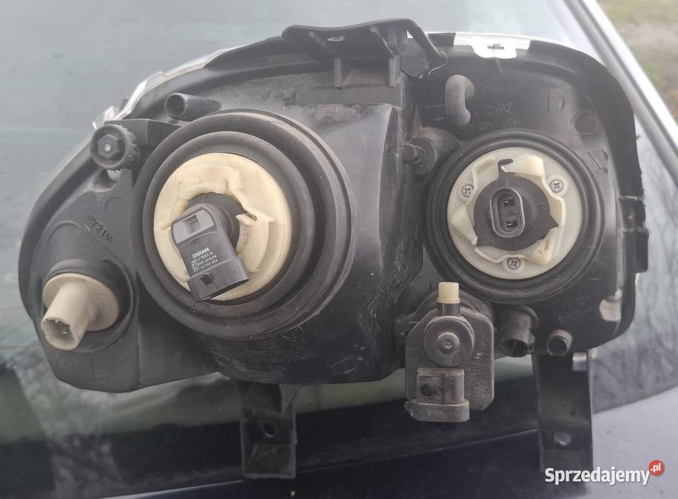 Clio II Thalia lampa lampy przód reflektor lewa Hańsk Pierwszy sprzedam
