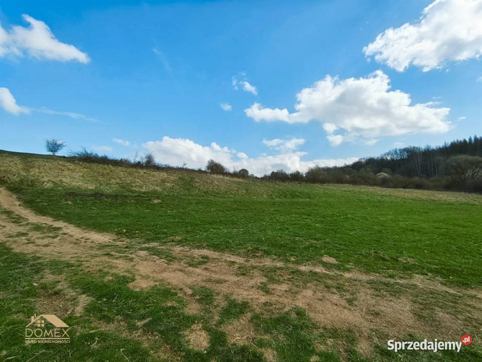 Grunt 1110m2 Wieprz śląskie