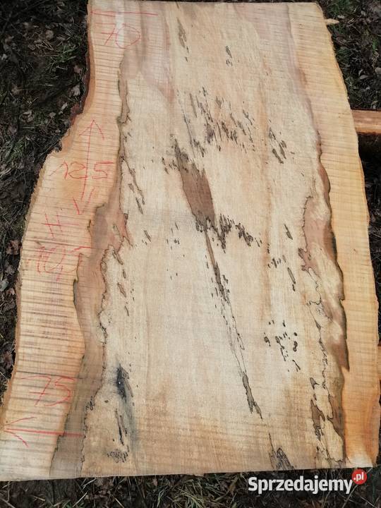 Monolit 124x80x10 wiąz dąb buk jesion stolik Przysucha