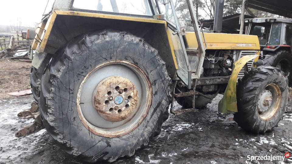 ursus 1204 nieuszkodzony sprzedam