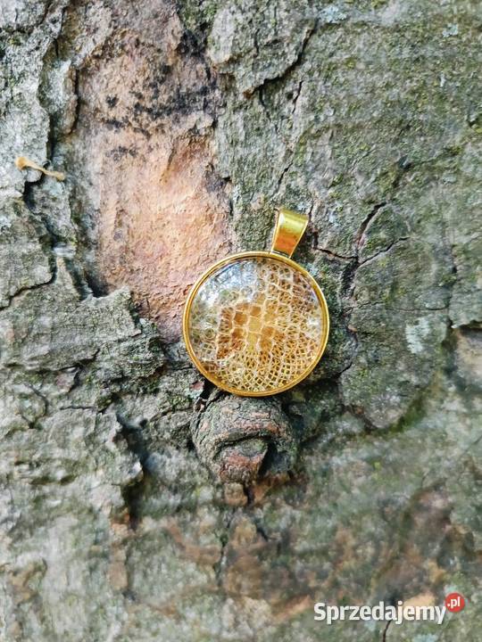 Zawieszka z Wylinką Pytona Królewskiego Handmade dolnośląskie Dzierżoniów