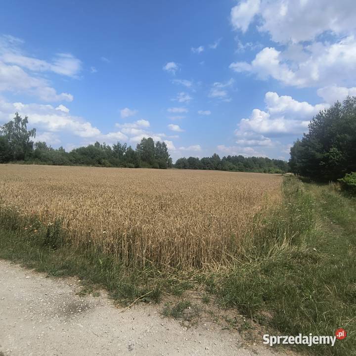 Do sprzedania działka rolnobudowlana