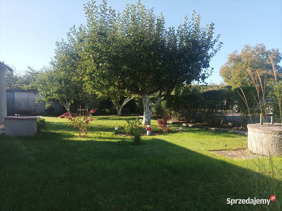 Działka rekreacyjna 1go Maja w Gliwicach 126zł/m2 Knurów sprzedam