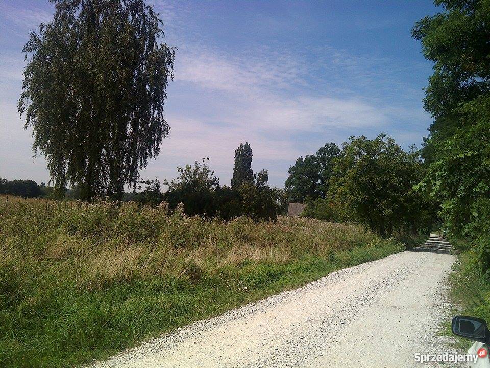 Siedlisko z budynkami SPRZEDAM utwardzona