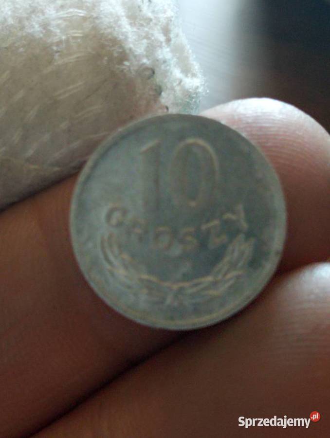Sprzedam 10 gr 1967 r zzm lubelskie Chełm