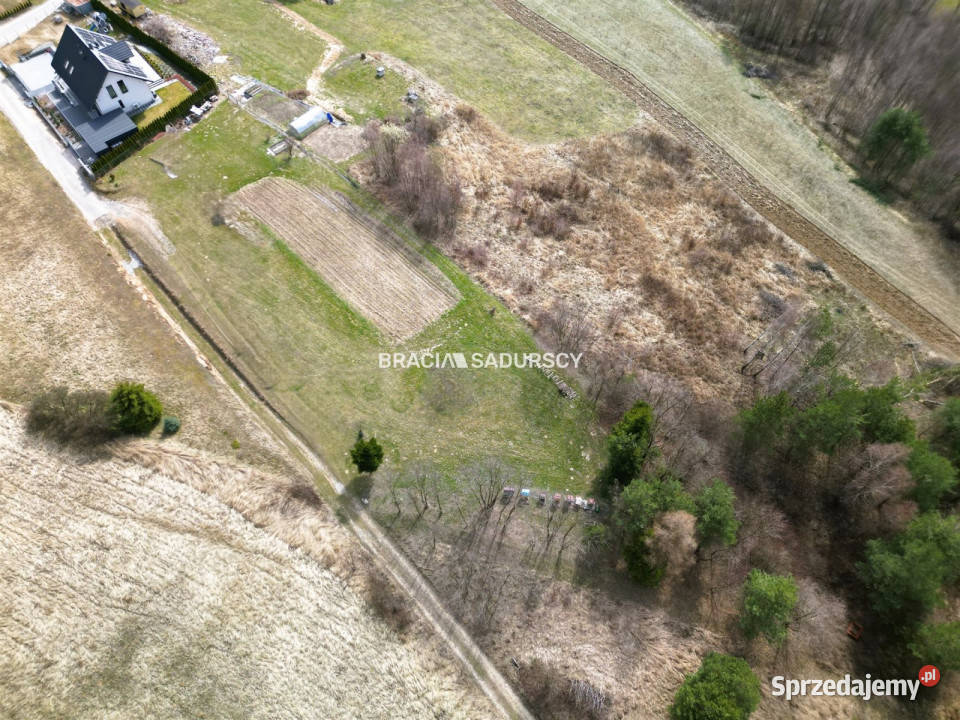 Działka Jerzmanowice Kalwaryjska 2900m2 50.15m