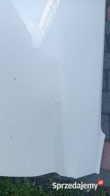 Błotnik lewy DS4 2023 Września sprzedam