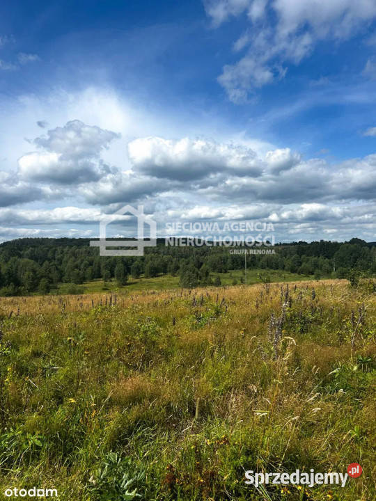 Działka Trzepowo 2913m2 53zł/m2