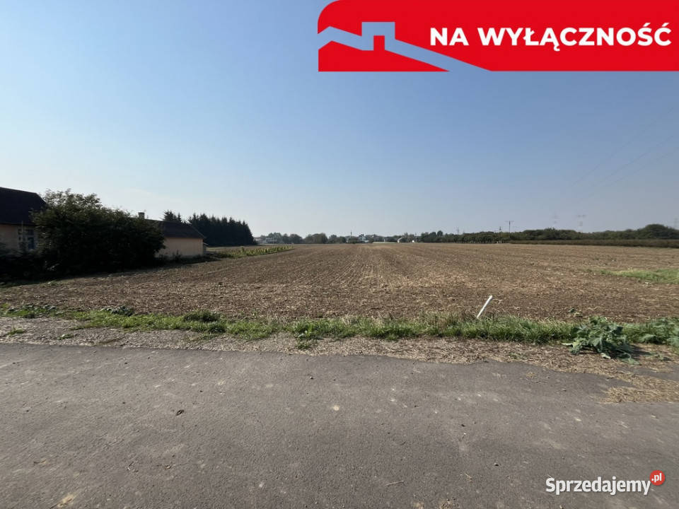 Działka rolnobudowlana 031 ha w Gołębiu kPuław lubelskie Gołąb sprzedam