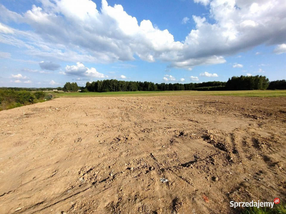sprzedaży gruntu Lisów 1081m2 kanalizacja