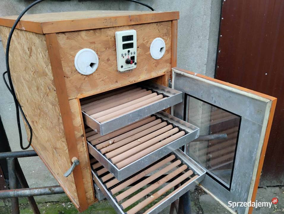 Inkubator do jaj wielkopolskie Gostyń