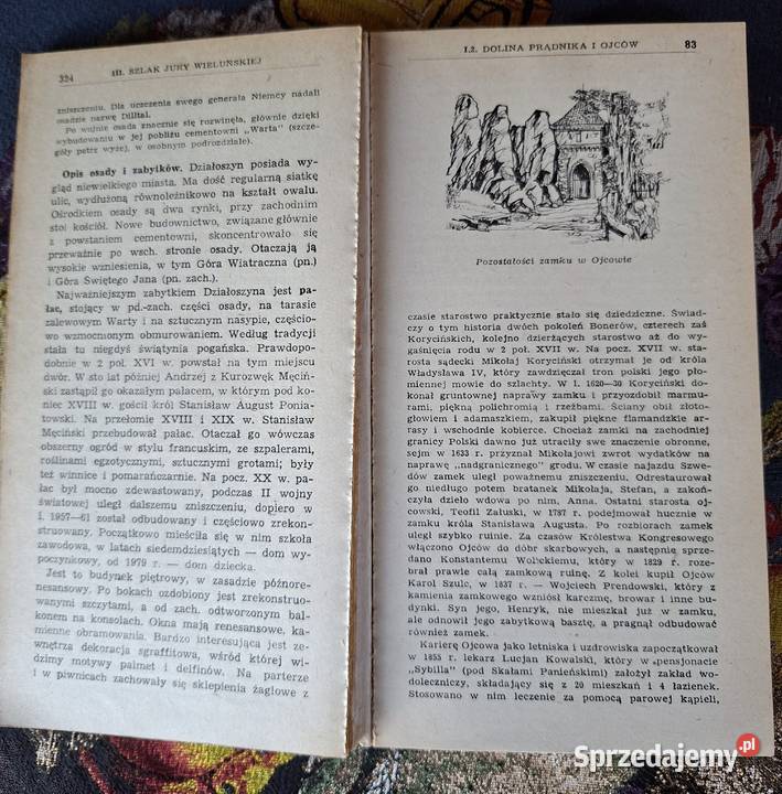 Orle gniazda i krajobrazy jurajskie Julian Kraków