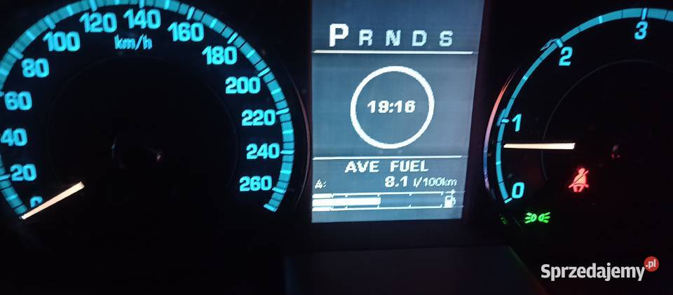 Ładny jaguar Kraków